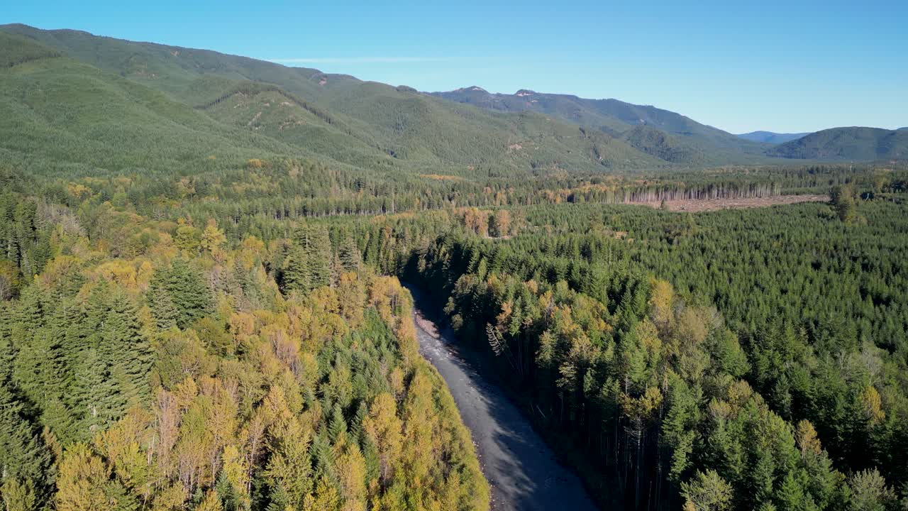 Cinematic drone shot flying above a mountain forest valley with a winding river under clear blue skies, Washington, Pacific Northwest
