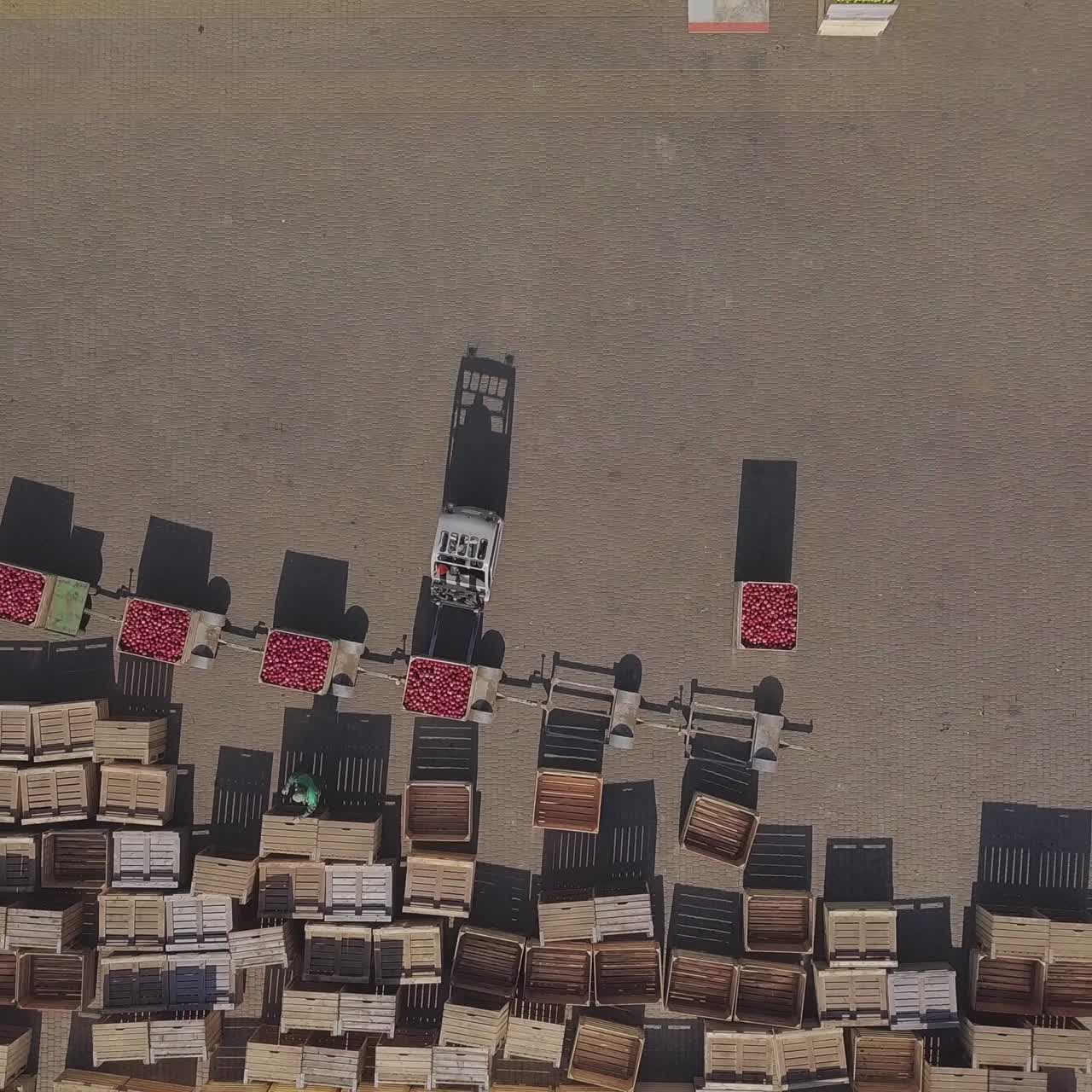 Forklift loading truck with containers full of apples. Fruits and food distribution to the large warehouse. Aerial view