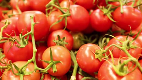 tomates vibrantes expuestos en un puesto de mercado