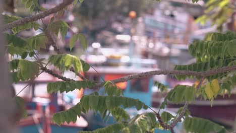 tree-branches-with-leaves-against-boats-with-bokeh-effect
