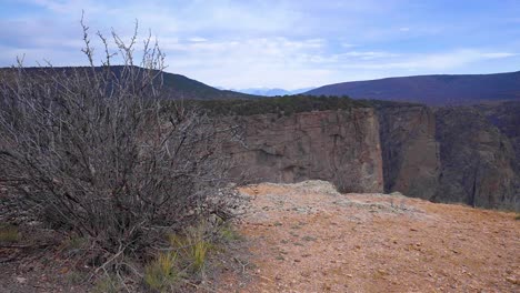 4k dolly black canyon of the gunnison with brush