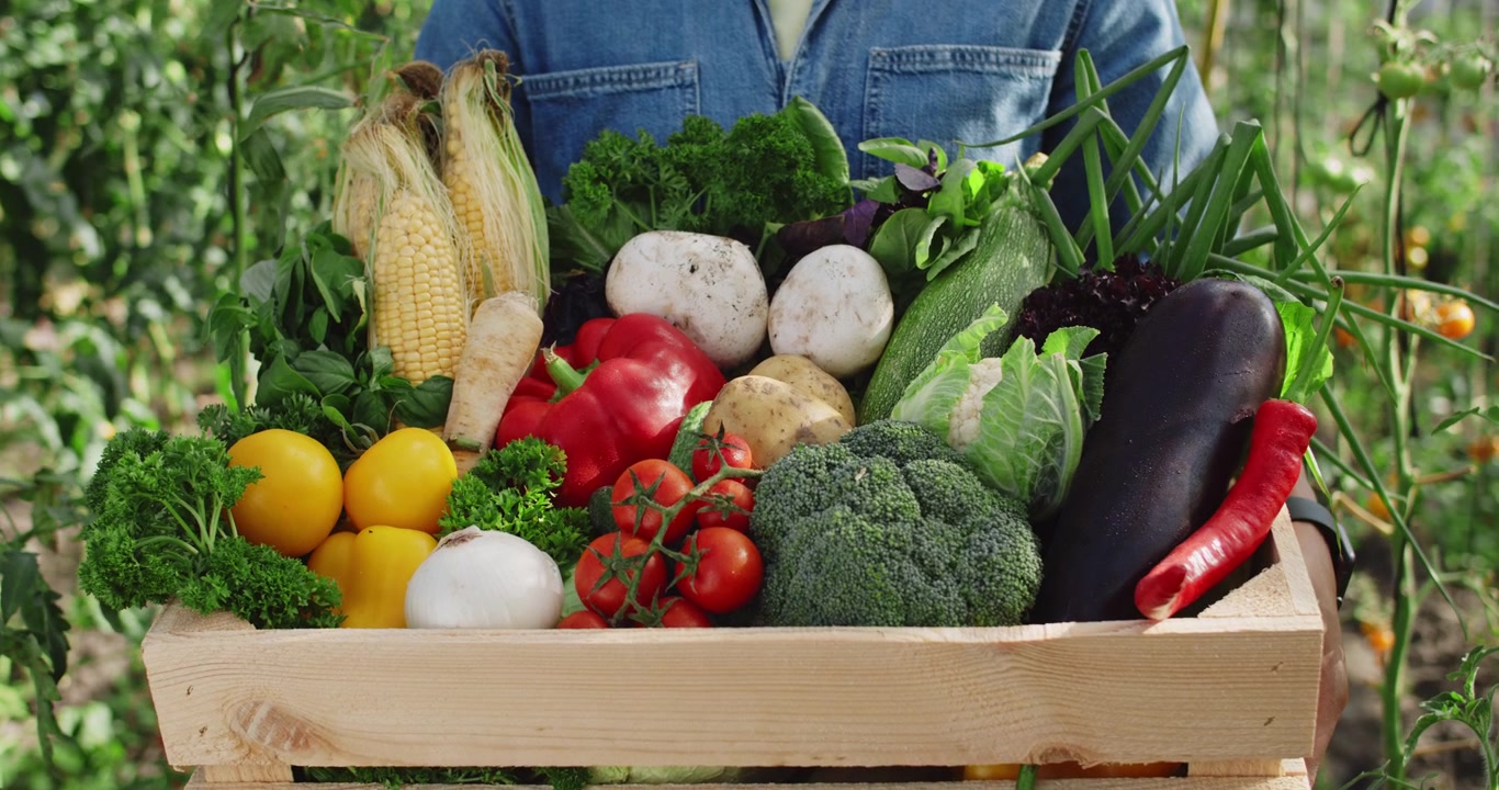 Farmer Holding a Wooden Crate Filled with Freshly Harvested Vegetables