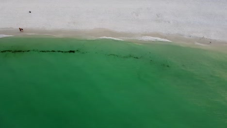 aerial view top view drone, beautiful topical beach ocean turquoise clean water