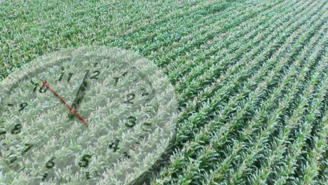 campo de cultivos con un reloj
