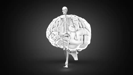 digital animation of human skeleton walking over human brain spinning against black background