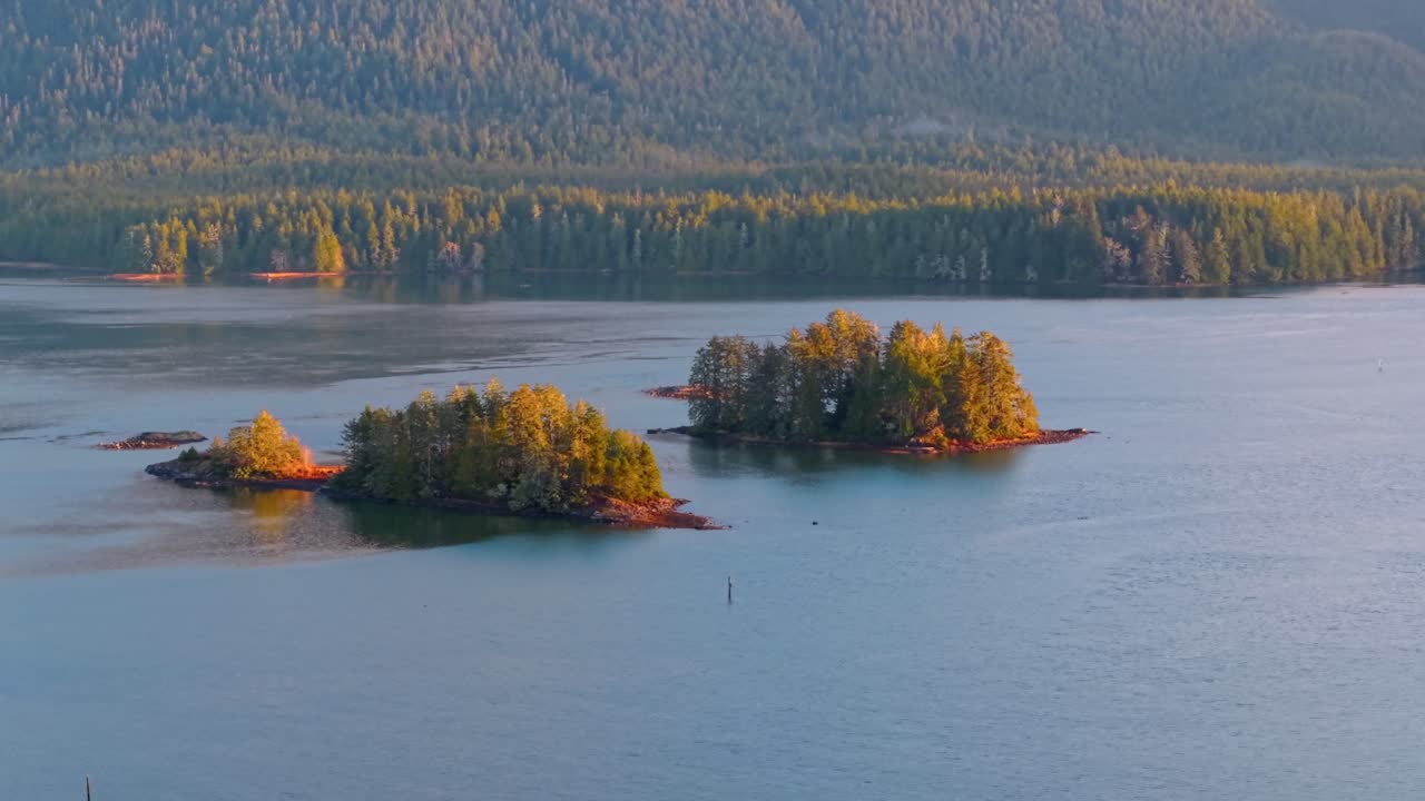 tomada de drone de tofino en la isla de vancouver que muestra colores de otoño, costa escarpada y olas del océano en una vista aérea panorámica.