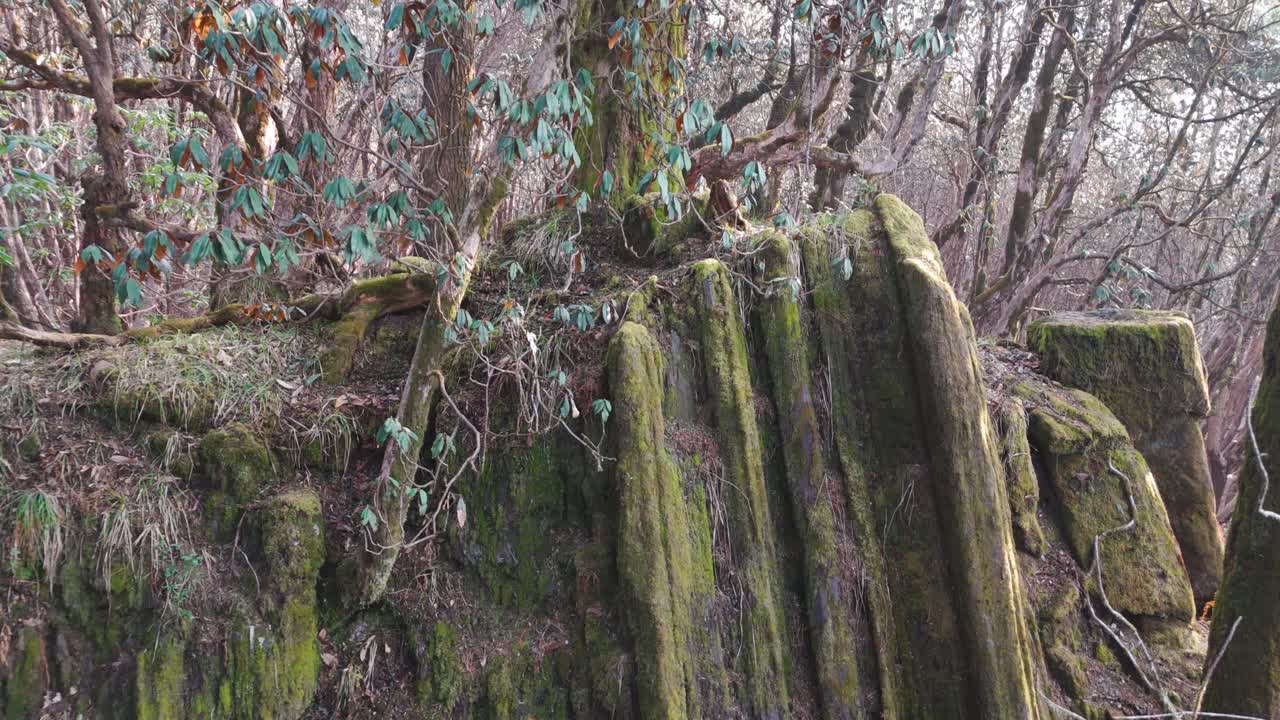 Rock Mountain with tree in nepal.
