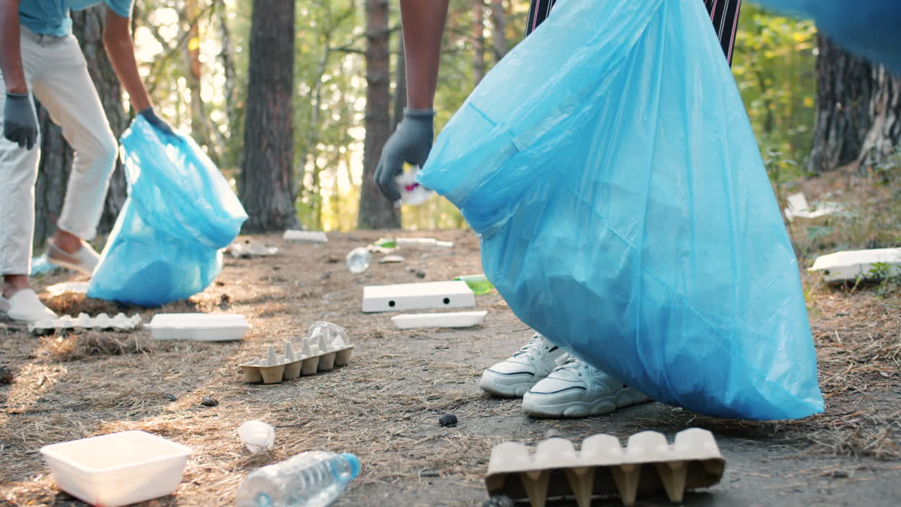 Community Volunteers Cleaning Up Litter in a Forest