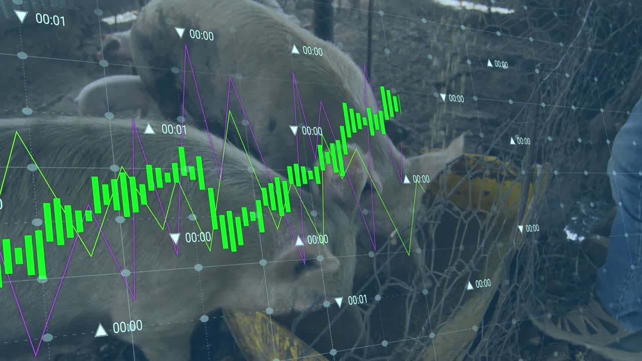 Animation af finansiel databehandling over kaukasisk mand, der fodrer grise