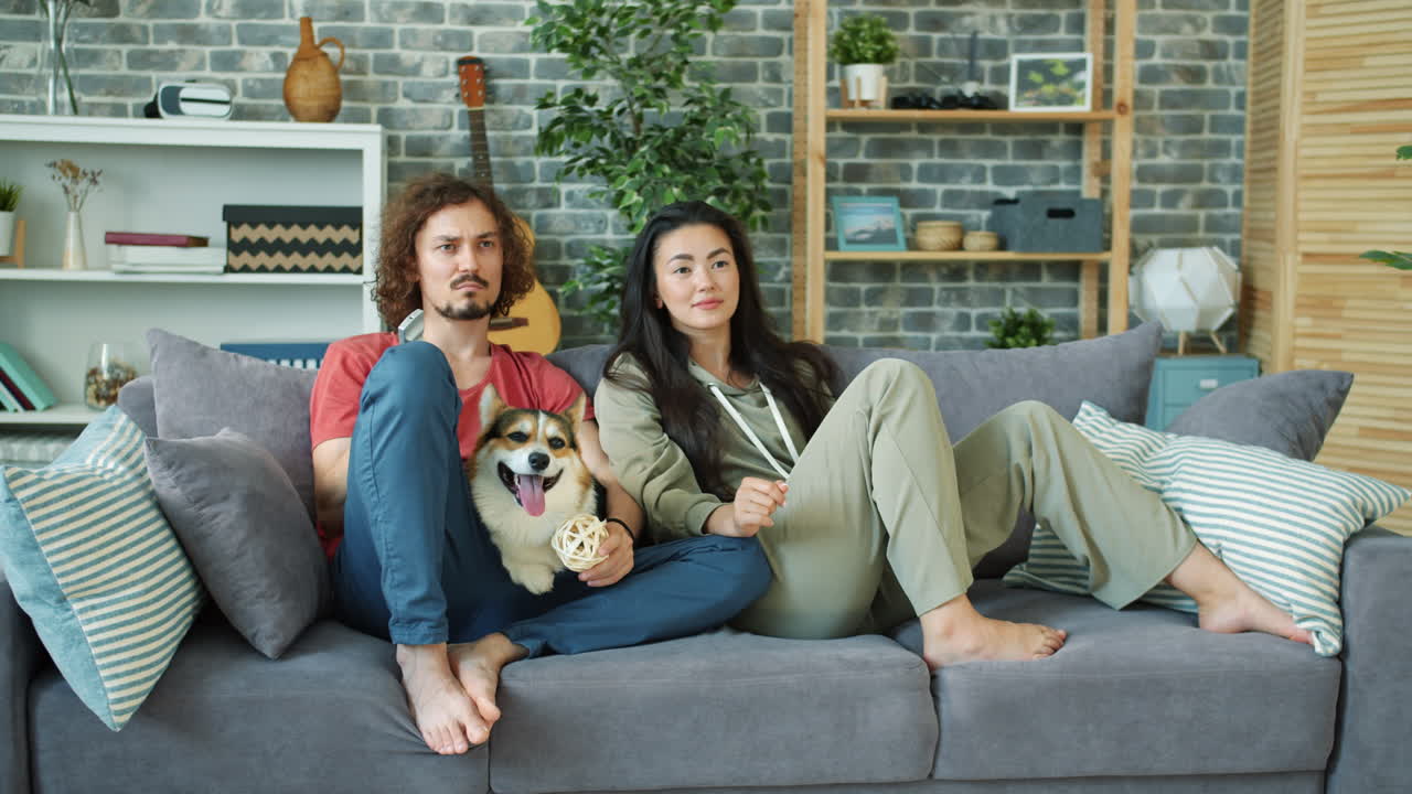 Couple relaxing with dog on sofa