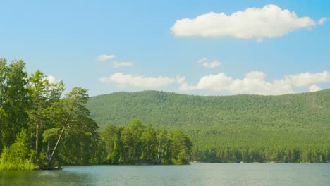 un paisaje sereno a la orilla de un lago con un bosque exuberante