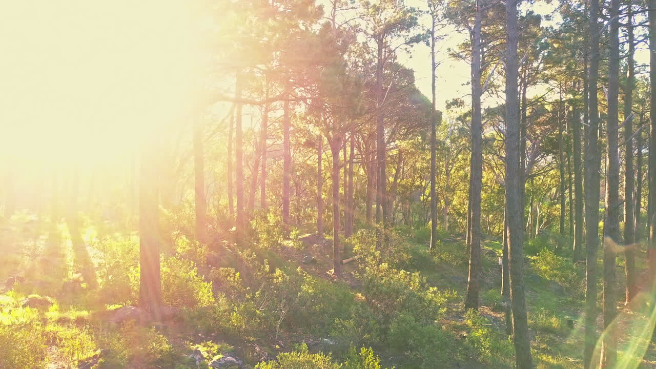 цвет красоты - зеленый.