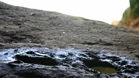 water drips in a cave that opens up to a bright countryside in puerto rico