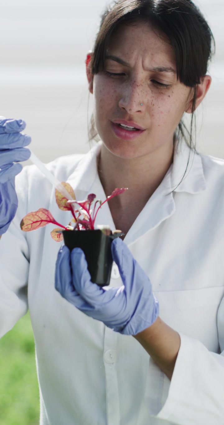 Scientist Watering Small Plant in Laboratory Setting