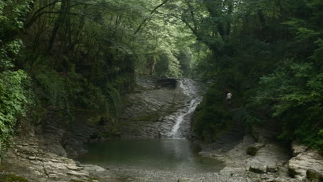 escena de una cascada en el bosque