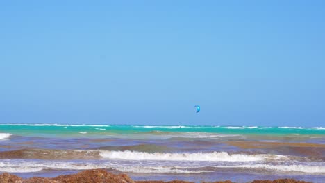 Olas-Tropicales-De-La-Costa-Del-Caribe-Con-Algas-Marinas-Sargassum-Y-Paracaídas-En-Parapente-En-El-Fondo