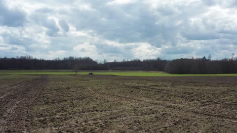 Flying-above-brown-soil-farmland,-tractor-vehicle-drive-in-far-near-green-wheat