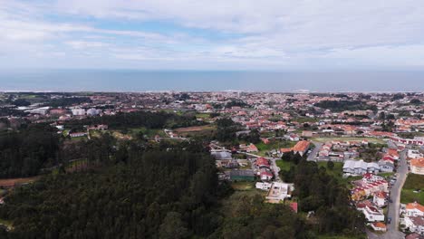 wide aerial view of gaia in portugal with forested area and coastline in the distance