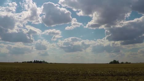 giant green field with small groups of trees far off in the distance on a blue sunny day with lots of clouds in the sky