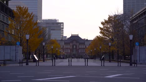 early morning view of tokyo station in distance with autumn colored trees