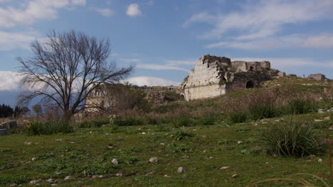 ancient theater in a field in miletus