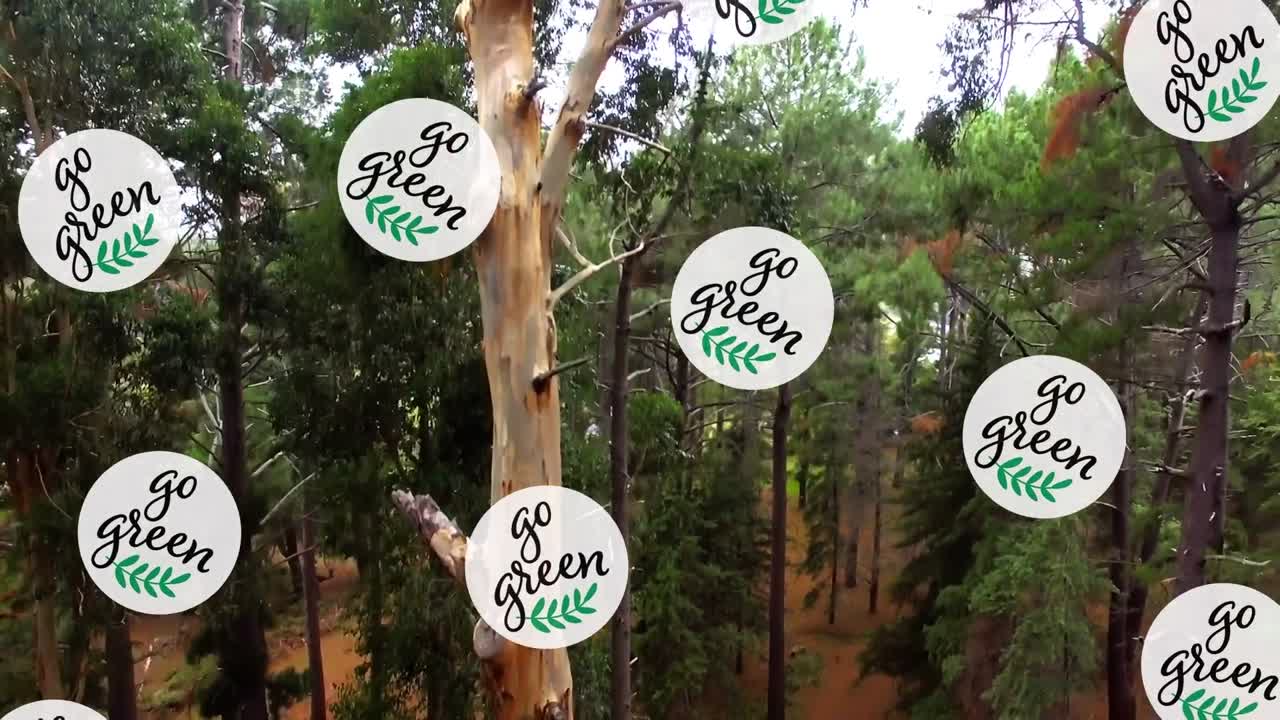 animación de texto verde sobre el bosque