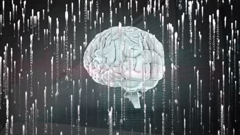 animation of data processing and human brain over dark background