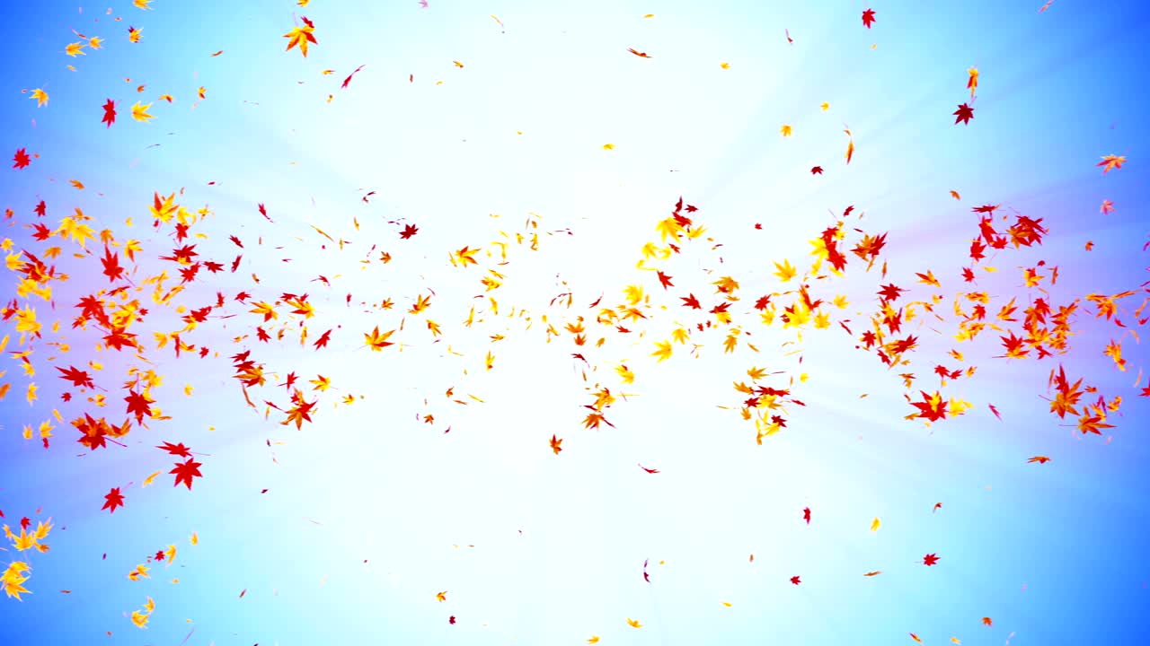 다채로운 메이플과 잎에서 나온 소용돌이, 가을 잎의 나선형 반이는 입자, 춤추는 잎, 다채로운 자연 터널 루프 애니메이션.