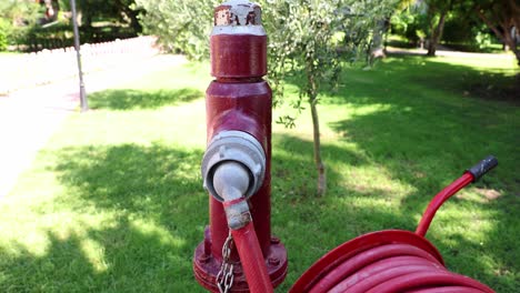 Fire Hydrant on a Lawn