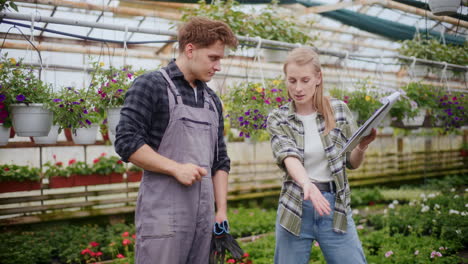 Agricultor-Explicando-Y-Gritando-A-Un-Colega-En-El-Invernadero