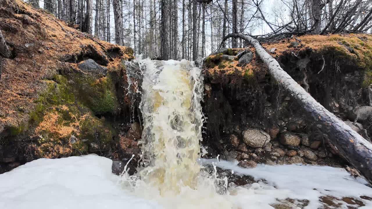 Naturligt vandfald i forårsskoven, vand og livlig natur