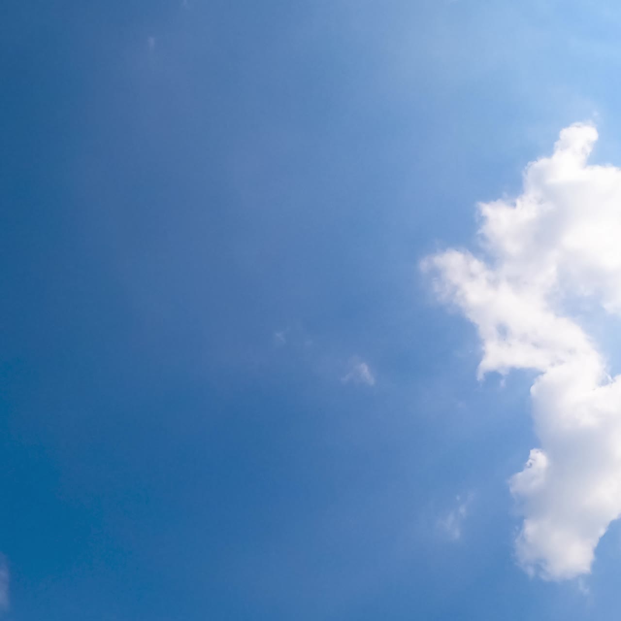 Cotton soft clouds flying in the azure sky. Bright sun lighting the clouds. Low angle view. Timelapse