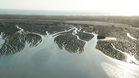 Zona-Fangosa,-Al-Final-De-Una-Bahía-De-30-Km-De-Largo,-Canales-Formados-Por-Las-Mareas