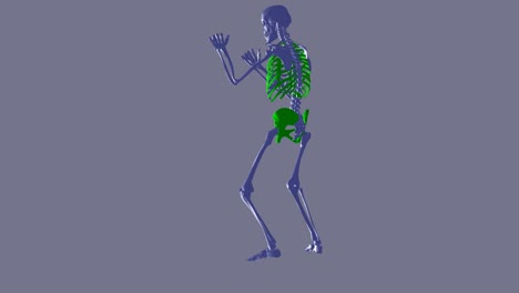 Punching-skeleton---learning-moves