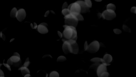 resaltos transparentes desfocados en blanco y negro 4k