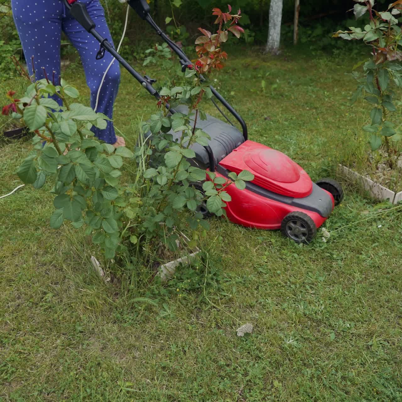 Mowing grass in the garden. Outdoor seasonal household works
