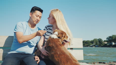 Asian-Man-And-Caucasian-Woman-Playing-With-His-Dog-They-Relax-Together-Sit-On-The-Bench-Walk-With-Yo