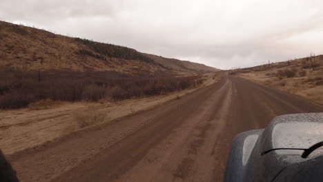 car driving on a road through rainy desert with bushes the united states