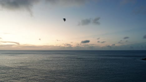 una foto aérea de un gran murciélago volando por el aire durante el anochecer sobre el océano pacífico, fiji