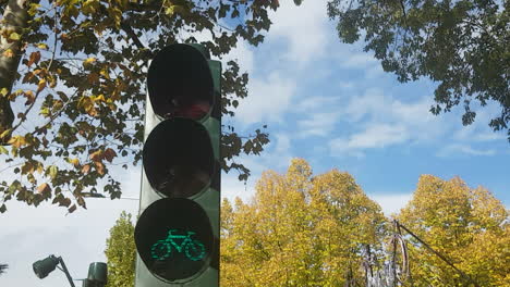 toma constante de un semáforo de iluminación verde para ciclistas con árboles dorados en el fondo