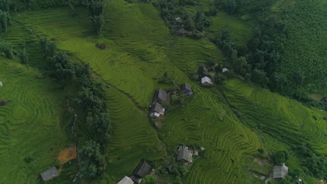 Toma-Aérea-Inclinada-De-Los-Campos-De-Arroz-De-Sapa-En-Vietnam