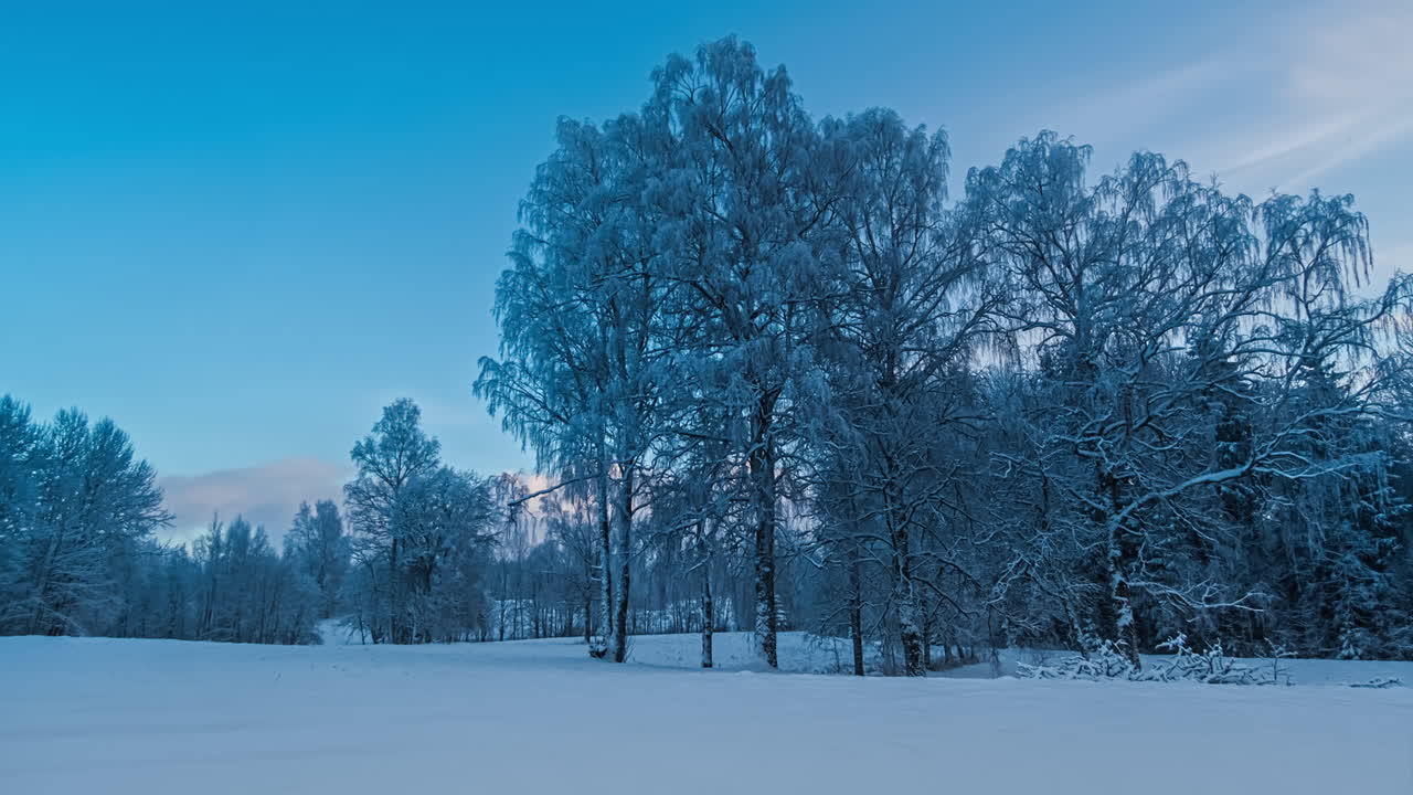 극지방의 공기가 아한대 숲 위로 불고, 푸른 하늘이 있는 겨울 산에서 저속 촬영