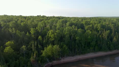 Vista-Aérea-De-Un-Hermoso-Bosque-A-Orillas-Del-Lago-En-Una-Hora-Dorada-De-Verano