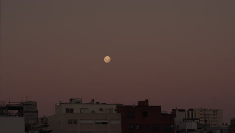 timelapse of yellow full moon rising in the night sky