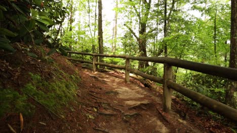 nature hike at natural bridge state park, kentucky