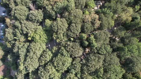 pierre loti hill cemetery