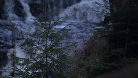 Winter-river-flowing-with-coniferous-trees-in-foreground-2---SLOMO