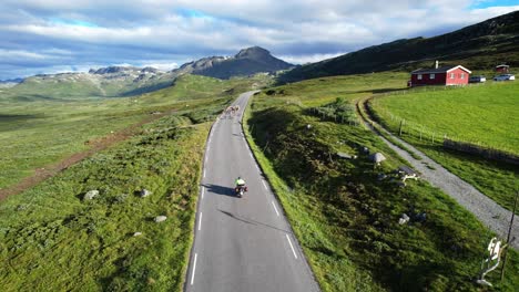 motorcyclist and a herd of sheep on the mountain roads of norway