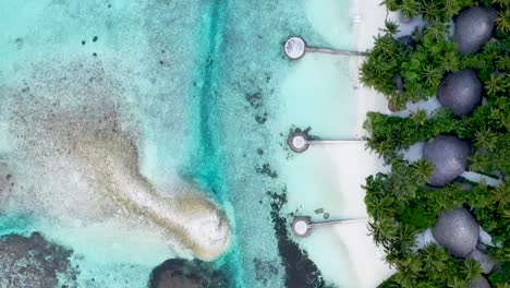 Tropical-beach-with-coconut-palm-trees-and-resort-area