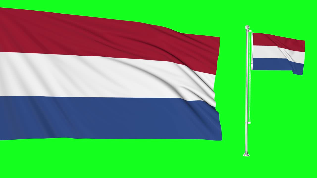 녹색 스크린 네덜란드 두 발을 흔들고 네덜란드 발 기둥 애니메이션 3d